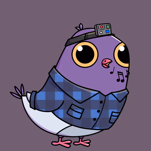 Everythingscoo