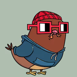 Pigeon #3733