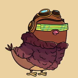 Pigeon #2911