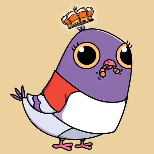 Everythingscoo