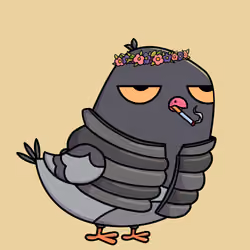 Pigeon #8091