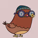 Pigeon #3772