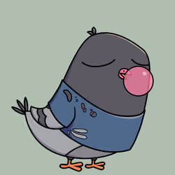 Pigeon #9202