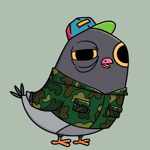 Everythingscoo