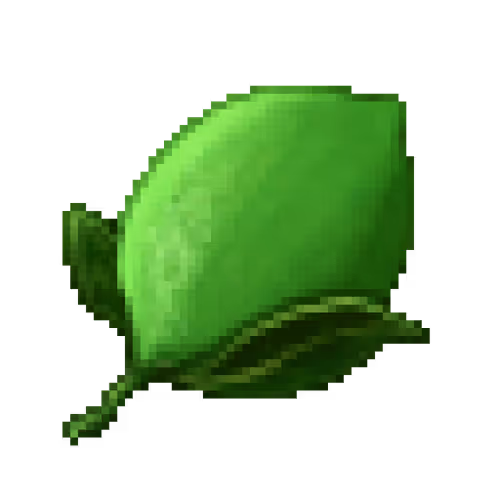 MCH Extension: #20410498 Lv.2