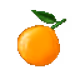 20400666
