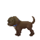 20270551