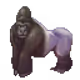 40250002