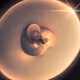 993