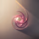 221