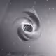 233