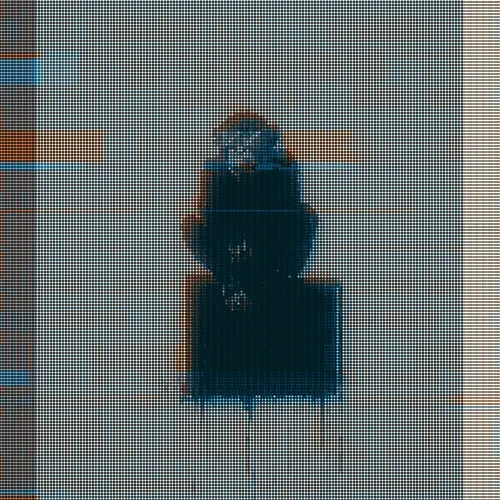 monkeys93