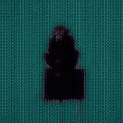 monkeys49