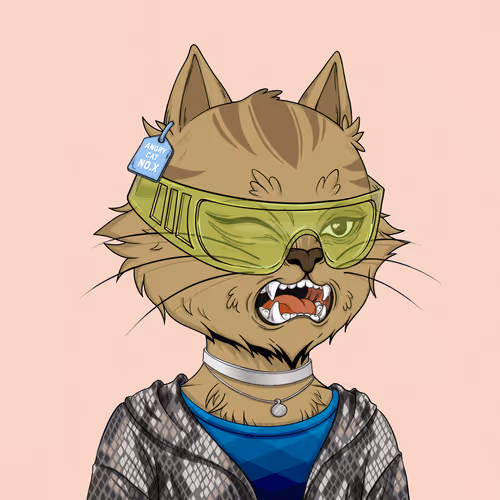 Angrycat Official