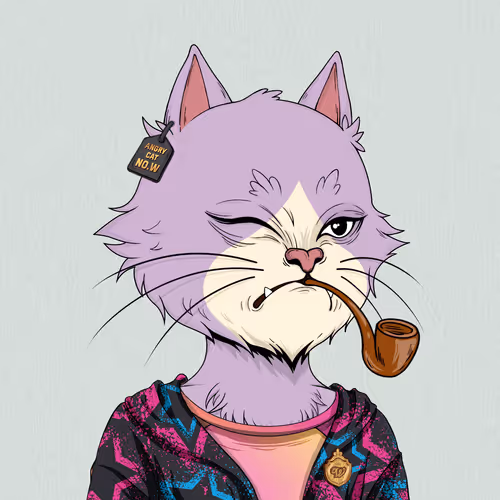 Angry Cat #4501