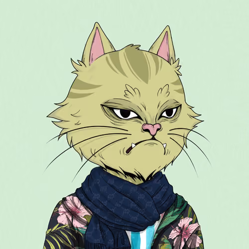 Angry Cat #9973