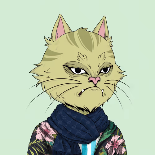 Angry Cat #9973