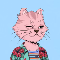 Angry Cat #9975