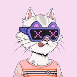 Angry Cat #4780