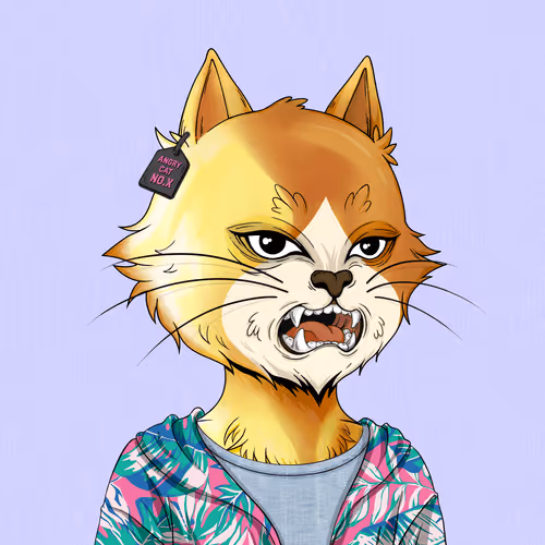 Angrycat Official