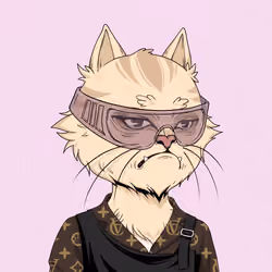 Angry Cat #5179