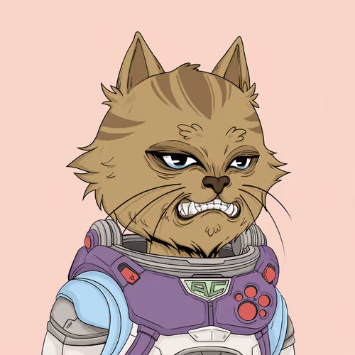 Angry Cat #9992