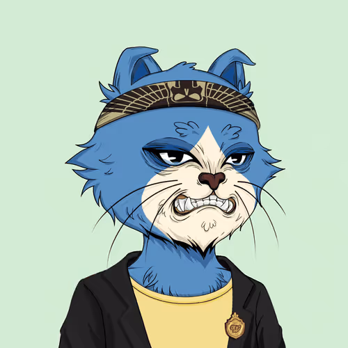 Angrycat Official