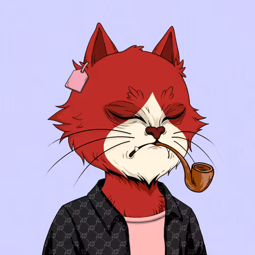 Angrycat Official