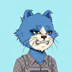 Angry Cat #8039
