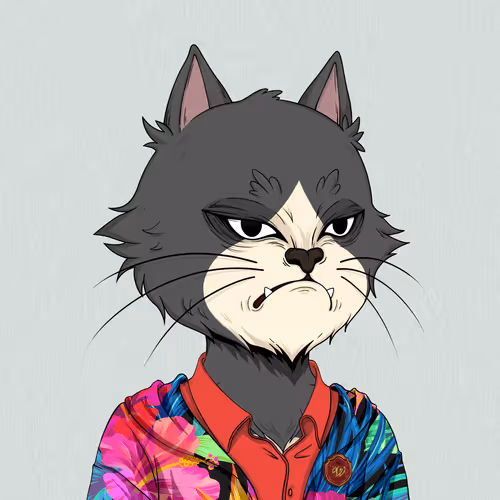 Angrycat Official