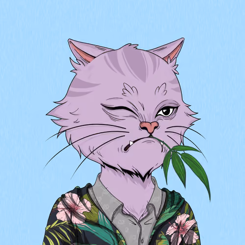 Angry Cat #9952