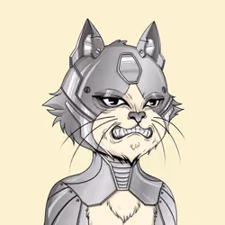 Angry Cat #8366