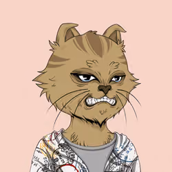 Angry Cat #8373