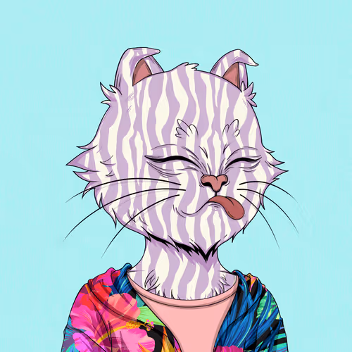 Angrycat Official