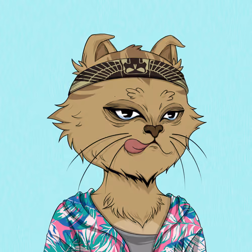 Angry Cat #8992