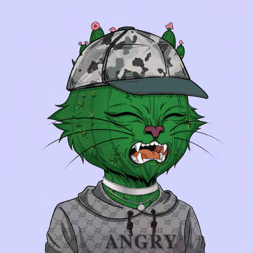 Angrycat Official