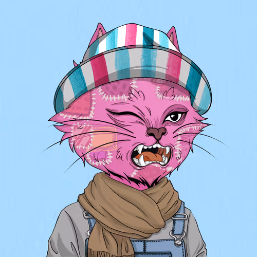 Angrycat Official