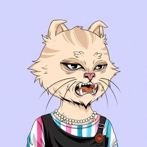 Angrycat Official
