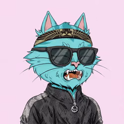 Angry Cat #8437