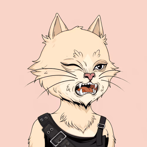 Angrycat Official