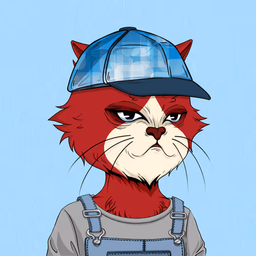 Angrycat Official