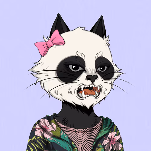 Angrycat Official