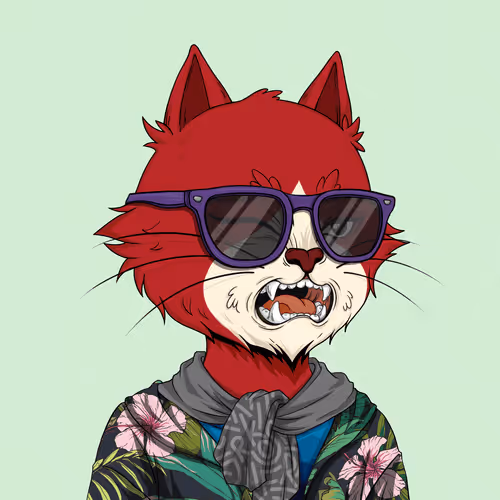 Angrycat Official