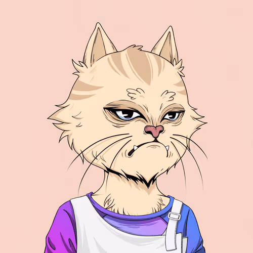 Angry Cat #9991