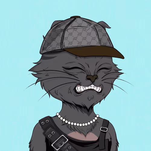 Angrycat Official