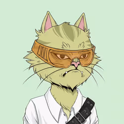 Angry Cat #8224