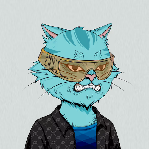 Angry Cat #9989
