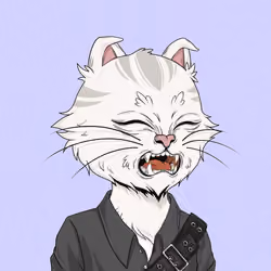 Angry Cat #4743