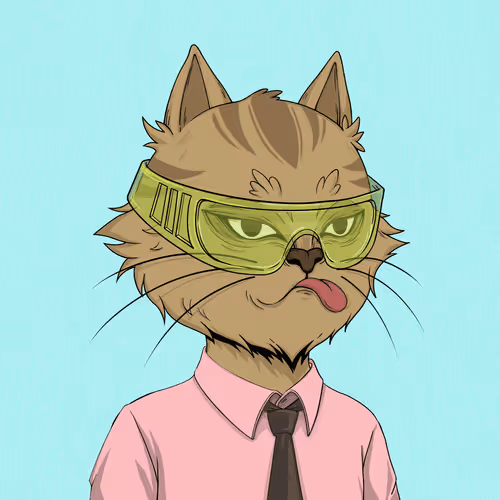 Angrycat Official