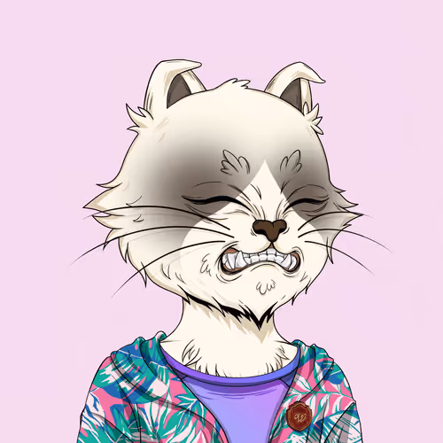 Angrycat Official
